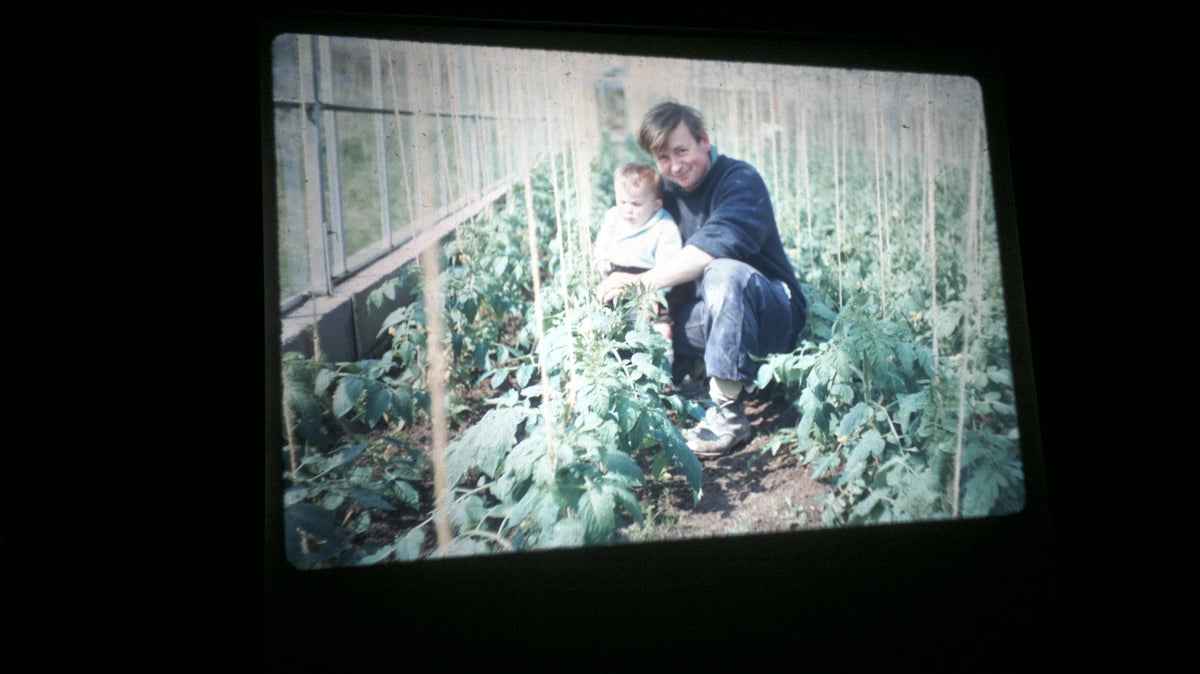 Vintage photo of Richard Boddington with Phil Boddington in a greenhouse with tomato plants