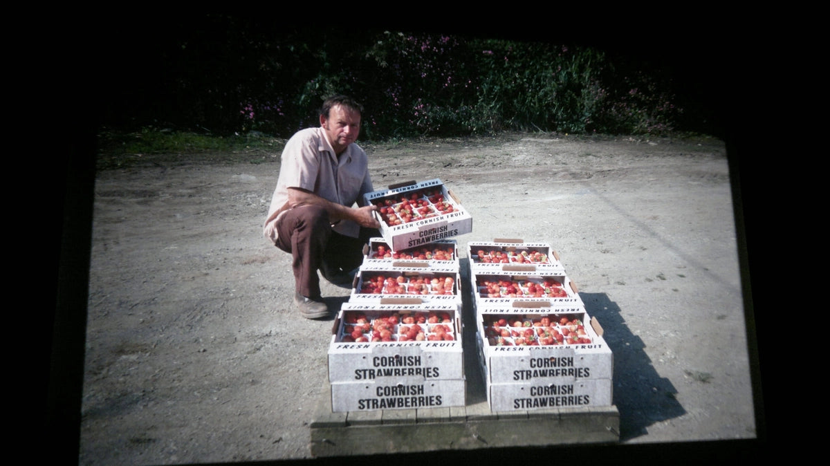 Richard Boddington kneeling next to boxes of strawberries on a concrete surface with greenery in the background.