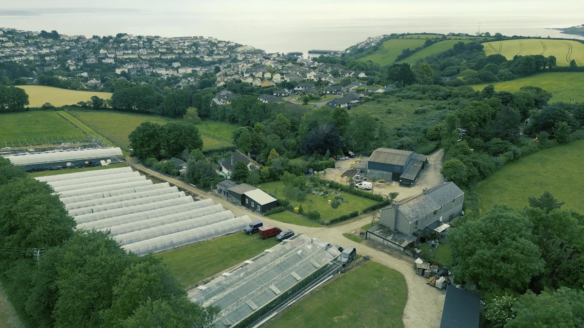 Aerial view of Boddington's area with greenhouse, farmhouse, and fields above Mevagissey.